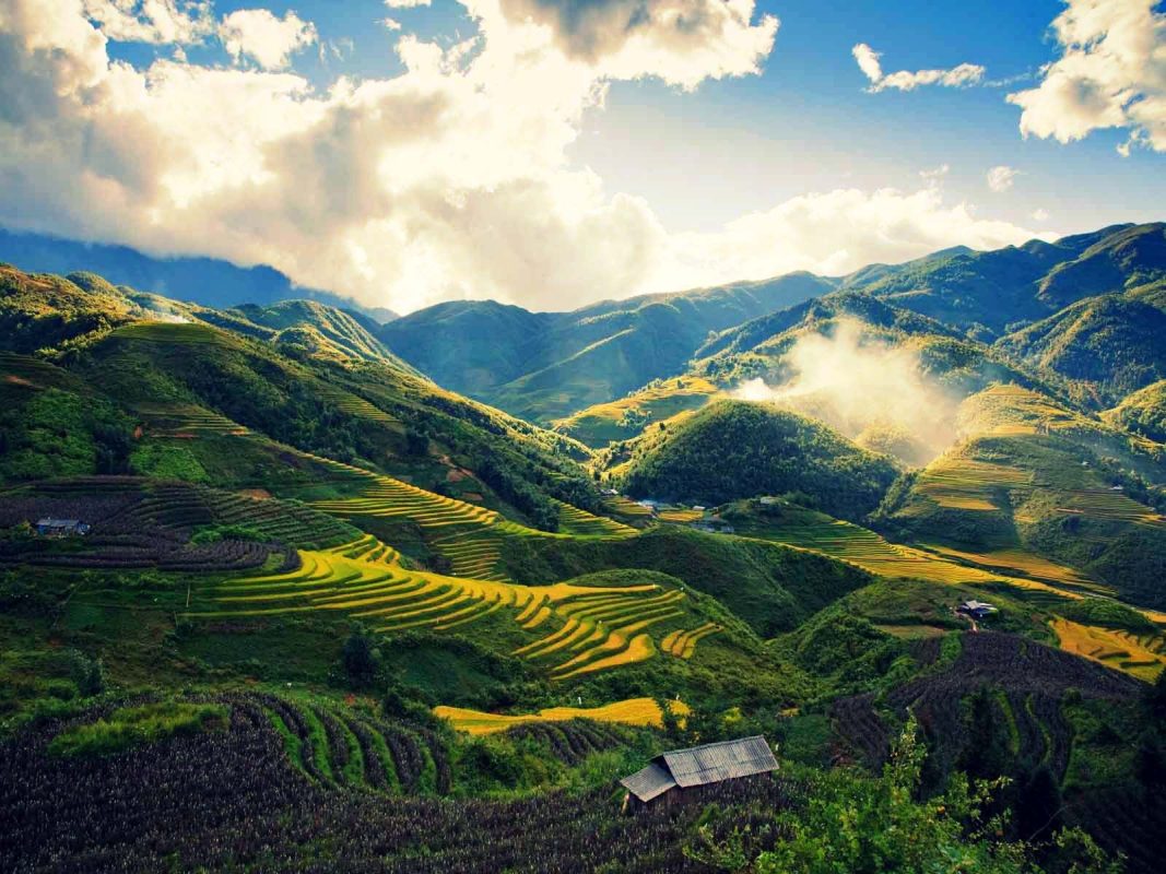 Hoàng Mai Tourist